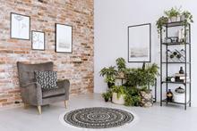 Bringing The Outdoors In - a living room filled with outdoor plants